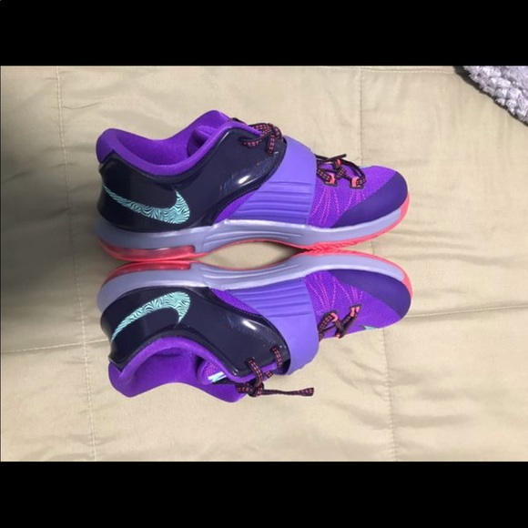 KD 5.5y - Picture 5 of 5